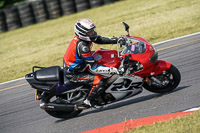 enduro-digital-images;event-digital-images;eventdigitalimages;no-limits-trackdays;peter-wileman-photography;racing-digital-images;snetterton;snetterton-no-limits-trackday;snetterton-photographs;snetterton-trackday-photographs;trackday-digital-images;trackday-photos